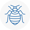Bed Bug Extermination In West Hampstead