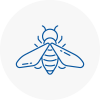 Bee Nest Removal West Hampstead