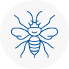 West Hampstead Hornet Nest Removals