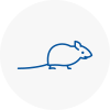 Mice Exterminators In West Hampstead