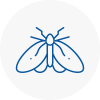 Moth Control Specialists In West Hampstead