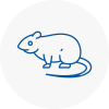 Rat Control West Hampstead
