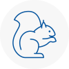 West Hampstead Rodent Removals
